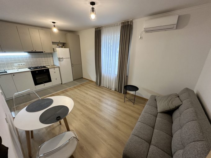 2-Room Apartment for rent on the Vazha-Pshavel 3rd quarter